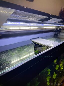 Akvárium 275 L s osvetľovacim krytom - 2