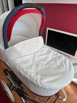 Kociar Navington Bora Bora - 2