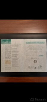 Steyr mannlicher - 2