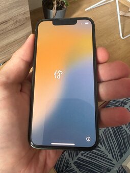 IPHONE 13 min - 2
