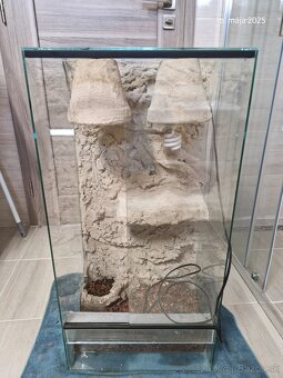 Terarium - 2