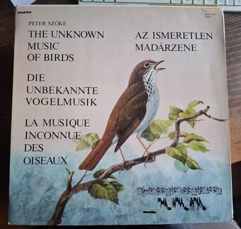 LP platne alternativa - 2
