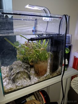 Akvárium 30L - 2