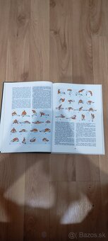 Predám knihu KARATE - 2