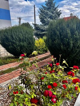 Prenájom viacerých jednotiek v Čakajovciach - 2