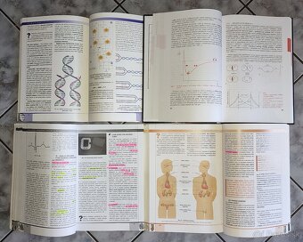 Prijímačky na LF do Čiech - 2