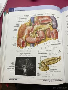 Netterov anatomický atlas 7. vydanie - 2