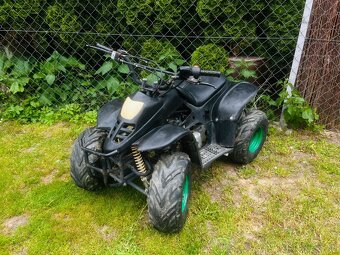 Štvorkolka 110cc 2013 - 2