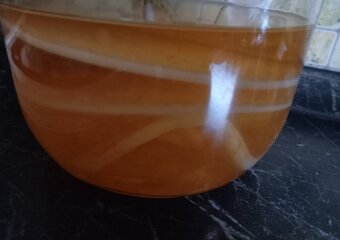 Kombucha priemer 15cm - 2