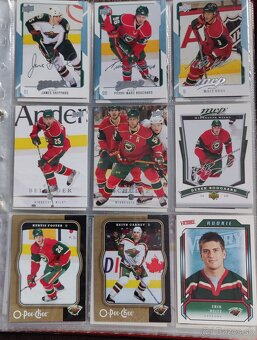 Hokejové kartičky Minnesota Wild - 2