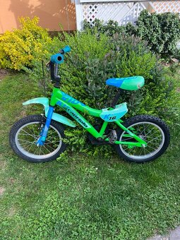 Detský bicykel Capriolo 16 - 2
