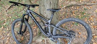 Trek fuel ex 8 - 2