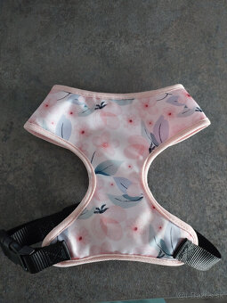 Postroj pre psíka - 2