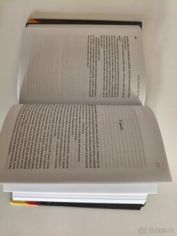 Stephen King, Žhářka, 350 s. - 2