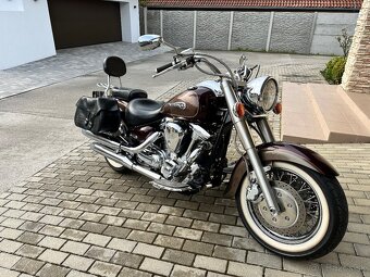 Xv 1600 wild star - 2