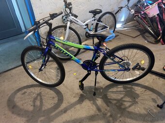 Kenzel compact 24” - 2