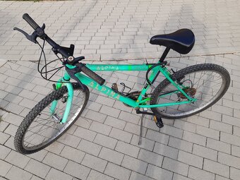 bicykel ALPINA - 2