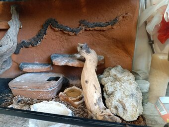 Terarium s gekoncikom nočným - 2