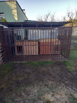 Voliera pre psa - 2