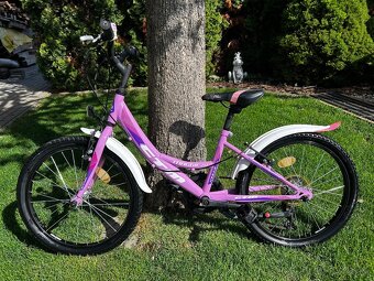 Detský bicykel 20 - 2
