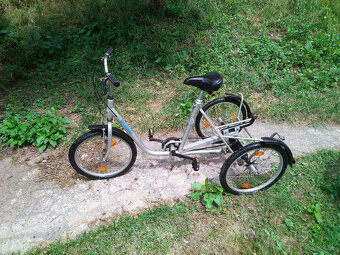 Trojkolesový bicykel Kvasnica standard - 2