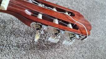 Gitara Pasadena cg1 - 2