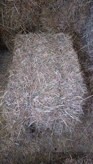 Seno malé balíky - 2