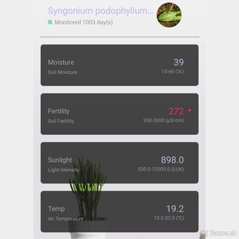 Xiaomi Flower Care - 2