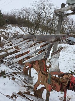 Pluh obracak  Vogel noot - 2