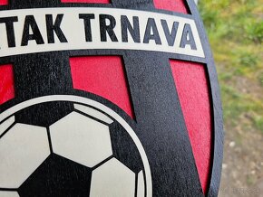 FC SPARTAK TRNAVA drevený 3D obraz - 2