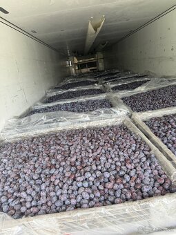 SLIVKY NA KVAS 0,45€/kg - 2