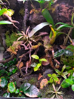 Predám terárium - 2