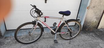 Pánsky bicykel - 2