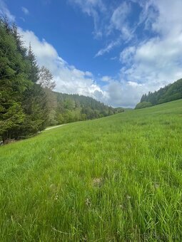 Predám pozemok Slovenska Lupča - 2