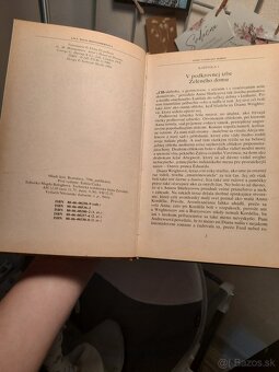 Anna zo Zeleneho domu - Annin vysnivany domov - 2