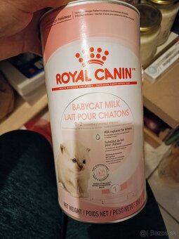 Mačacie mliecko ROYAL CANIN 250g - 2