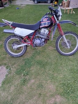 Yamaha XT 350 - 2