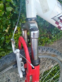 Celoodpruzeny elektro bicykel - 2