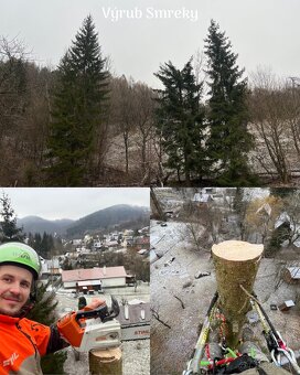 Výrub stromov, pílenie stromov, rizikové pílenie - 2