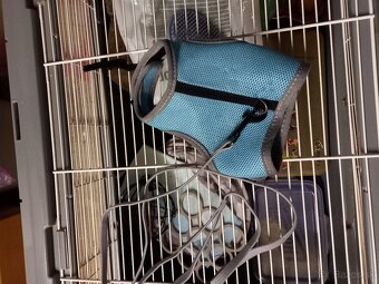 Klietka pre zajaca s prislušenstvom - 2