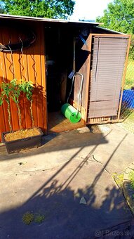 Záhradný domcek(koterec) - 2