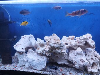 Predám akvárium - 2