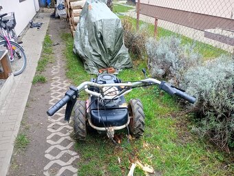 Dakr bubnova kosacka - 2