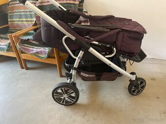 Gesslein kočíka - 2