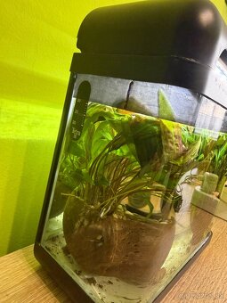 Predám akvárium 242812cm - 2