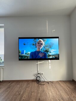 TV 65” Sony Bravia - 2