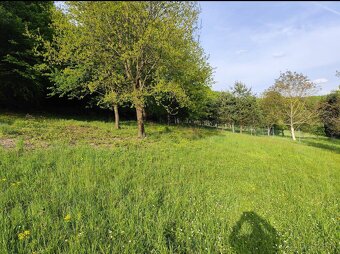 Predám pozemok v k.ú. Dolná Súča 1482m2 - 2