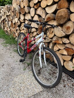 Dámsky bicykel - 2