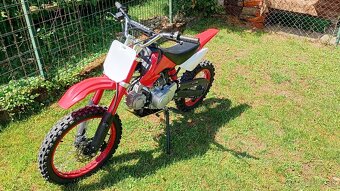Pitbike Ranger 125 cc 17/14 - 2
