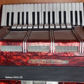 Delicia Carmen 96bas - 2